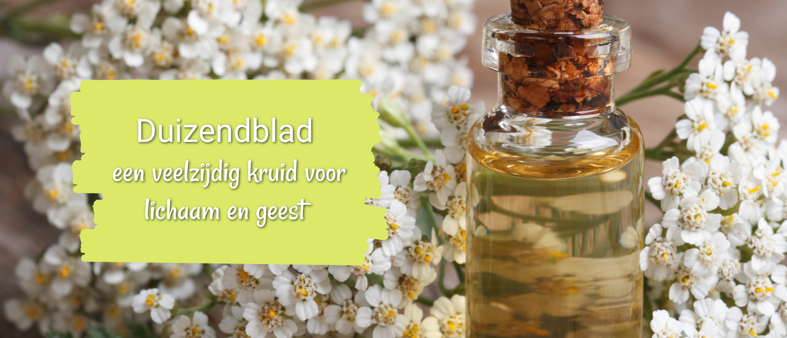 duizendblad voordelen