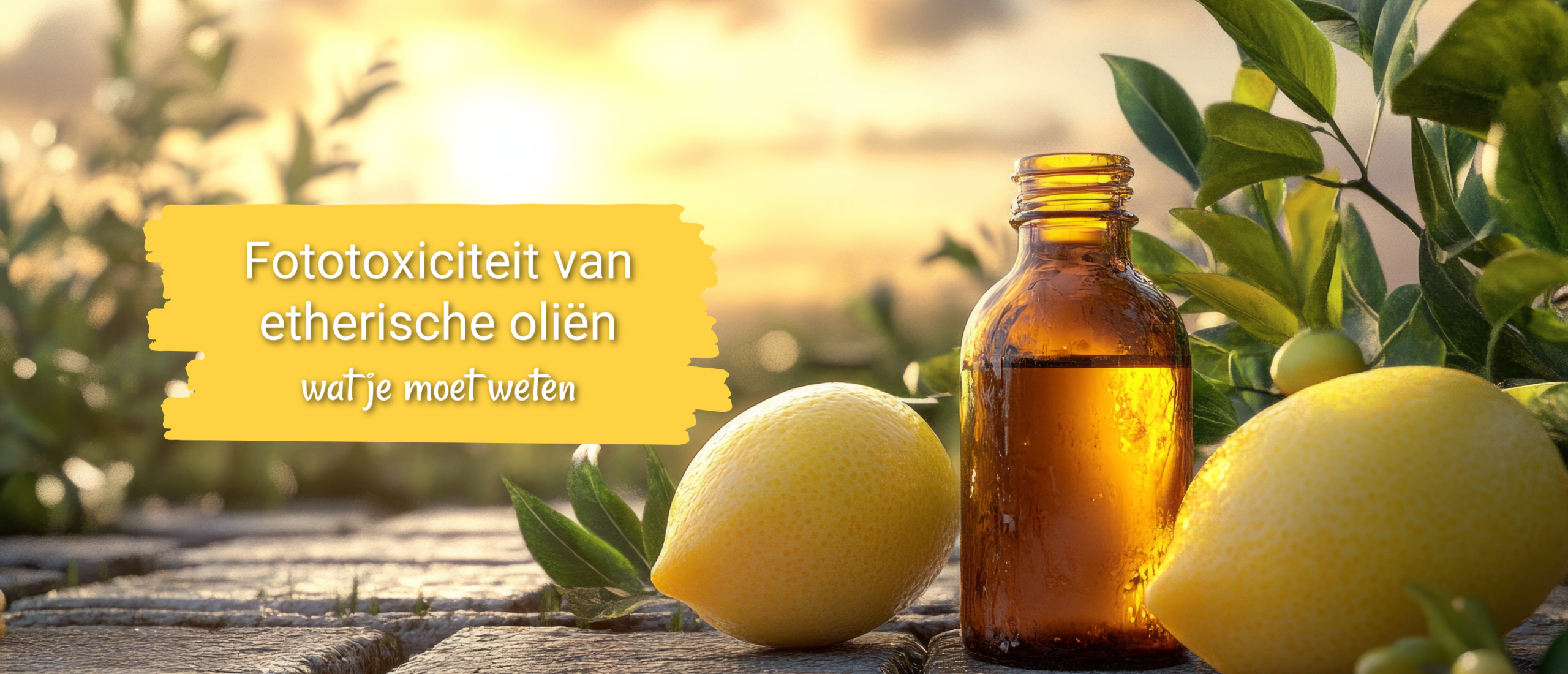 fototoxiteit etherische oliën fototoxiteit etherische oliën