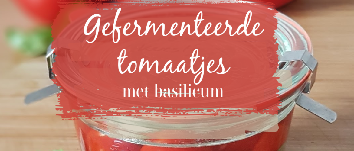 Gefermenteerde kerstomaatjes met basilicum, een echte smaakexplosie