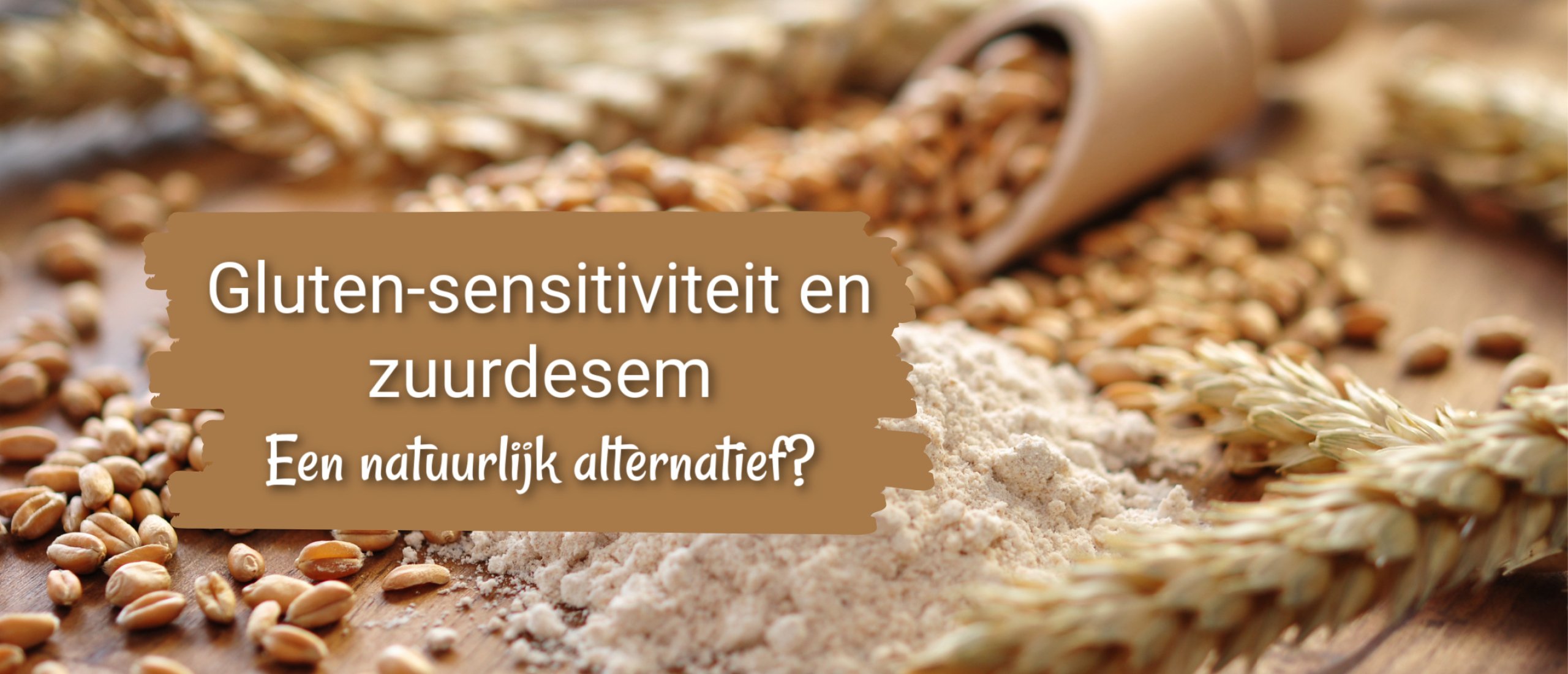 Gluten-sensitiviteit en zuurdesem: Een natuurlijk alternatief?