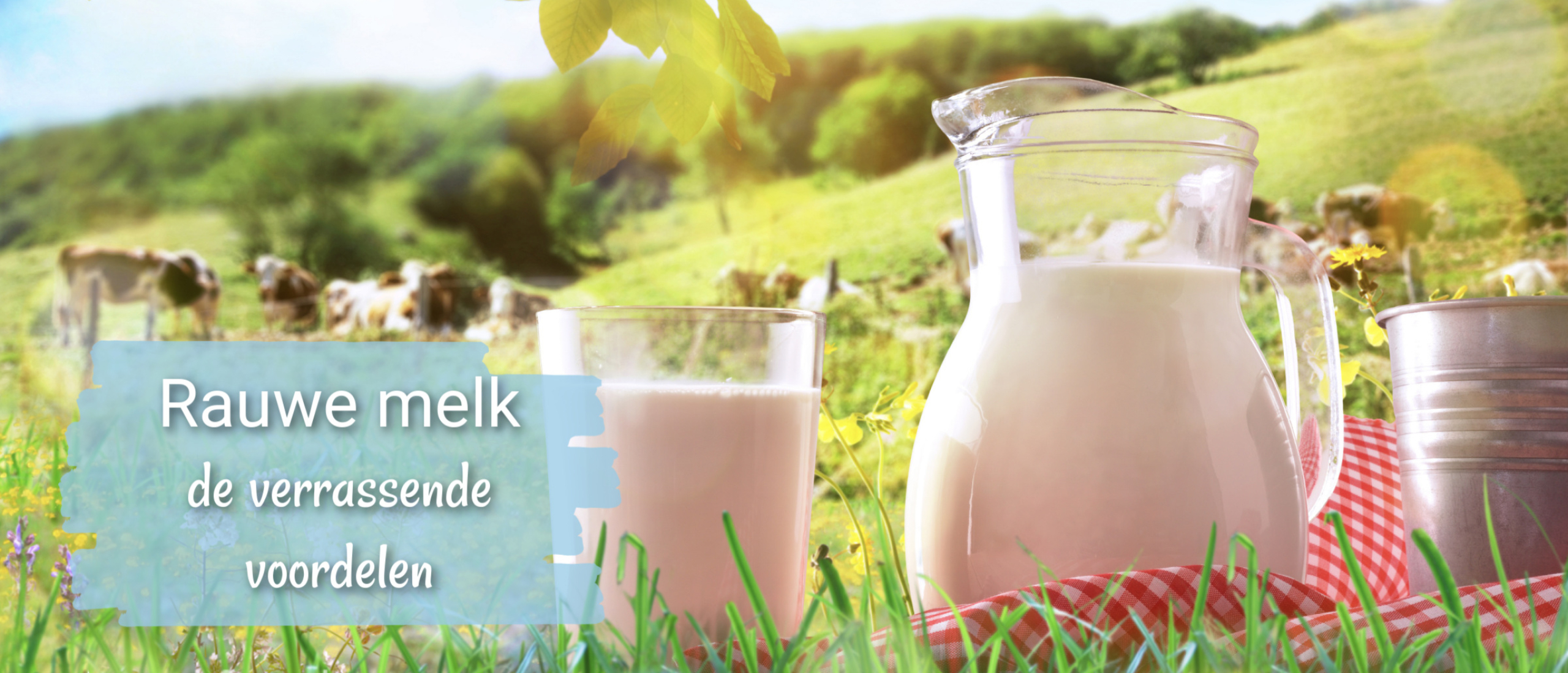De verrassende voordelen van rauwe melk