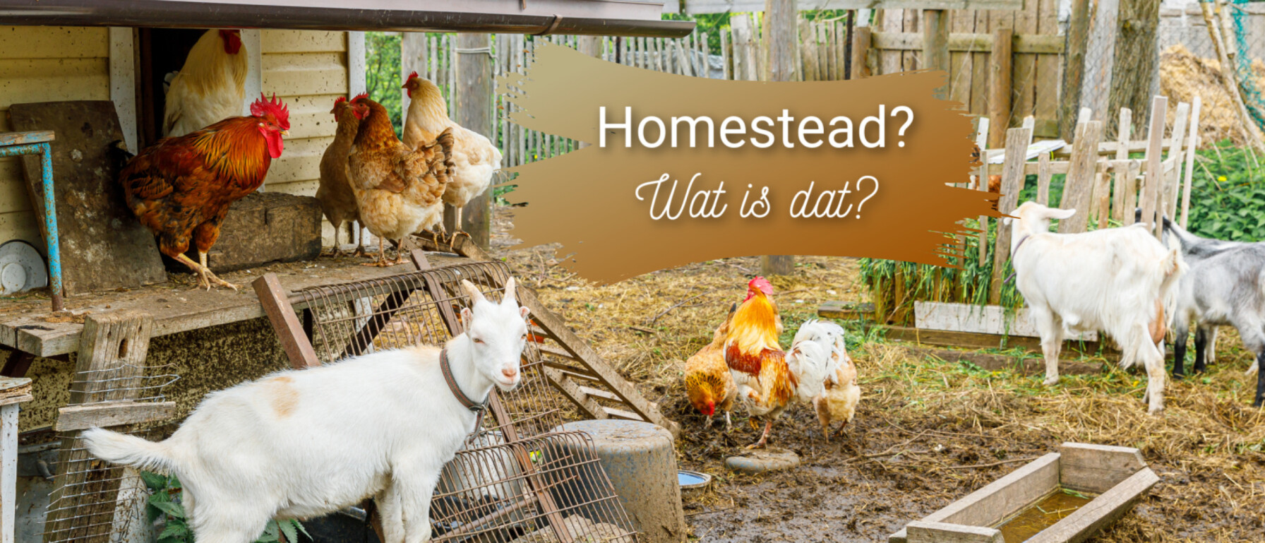 Wat is een homestead?
