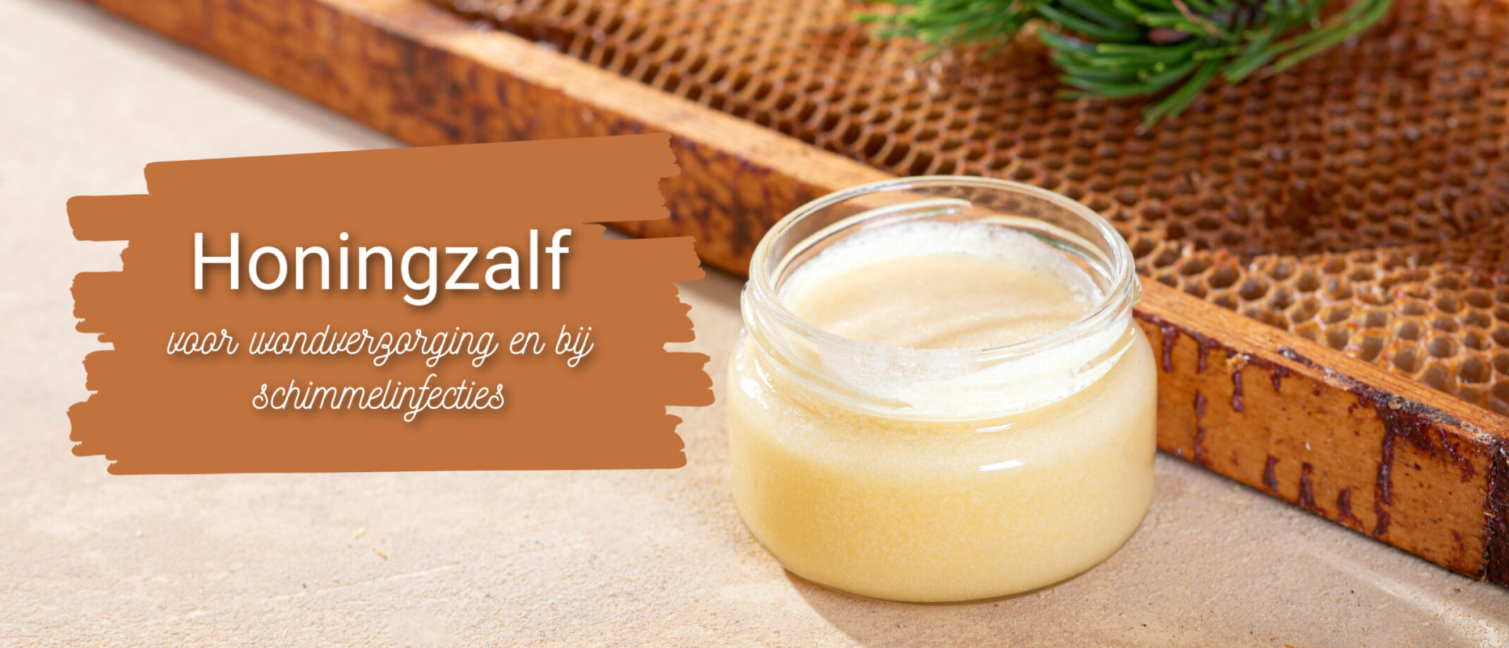 Honingzalf, voor en schimmelinfecties