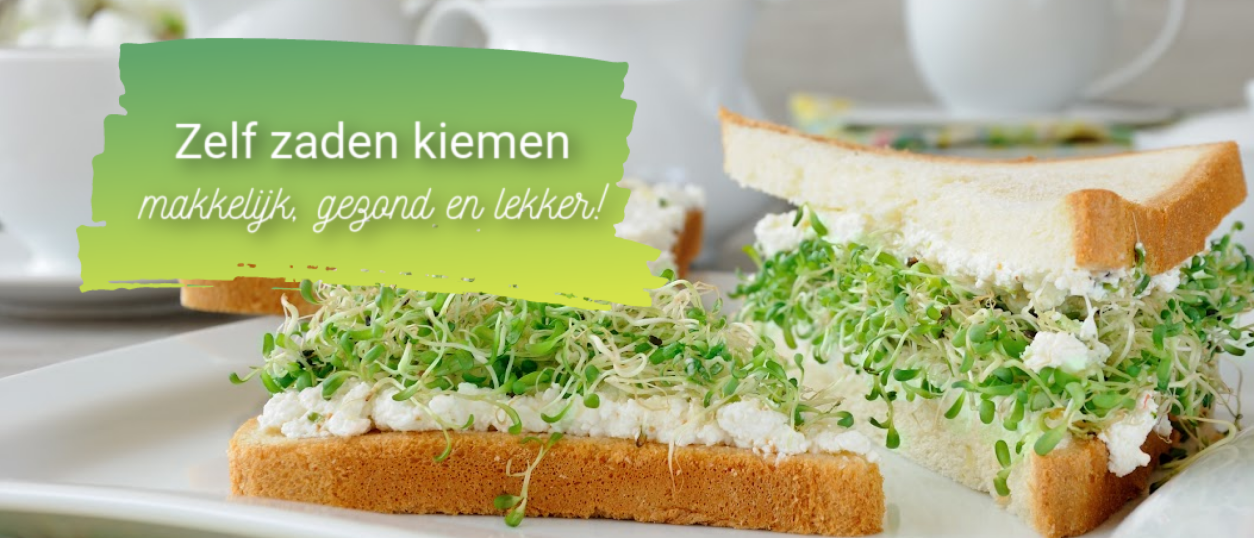 Zaden kiemen is zeer gezond en makkelijk zelf te doen