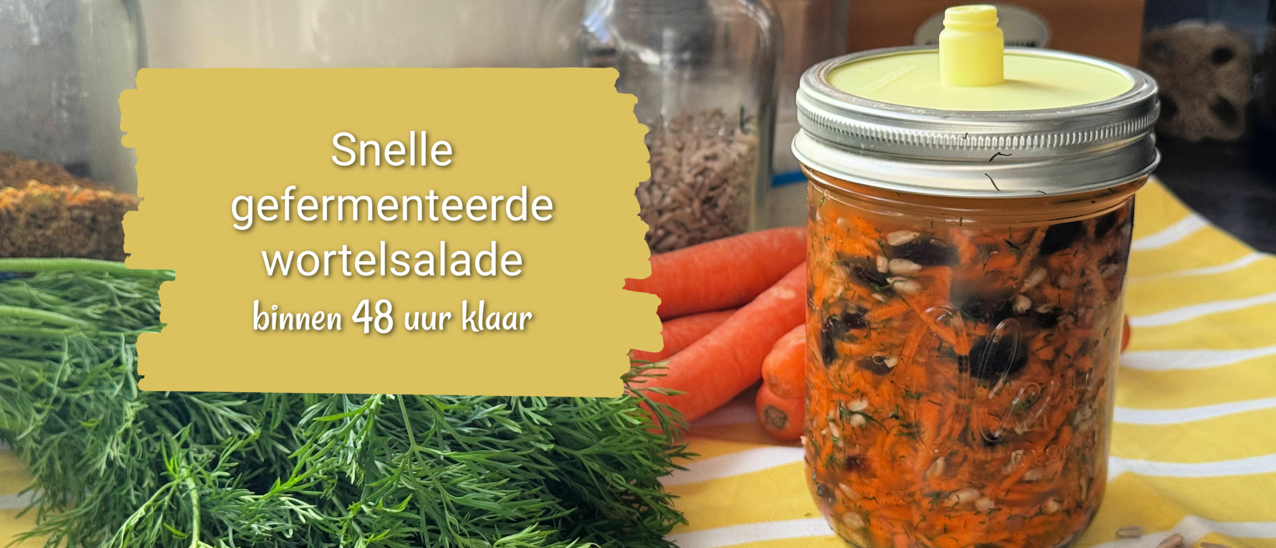 snelle gefermenteerde wortelsalade