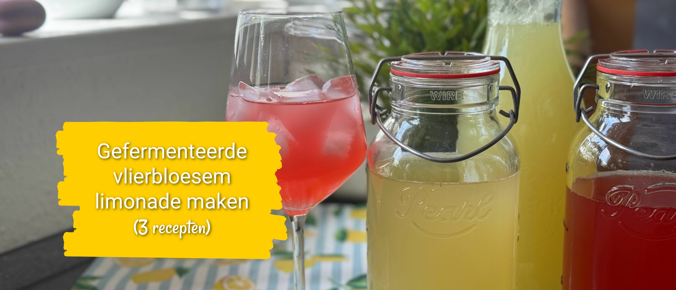 gefermenteerde vlierbloesem limonade