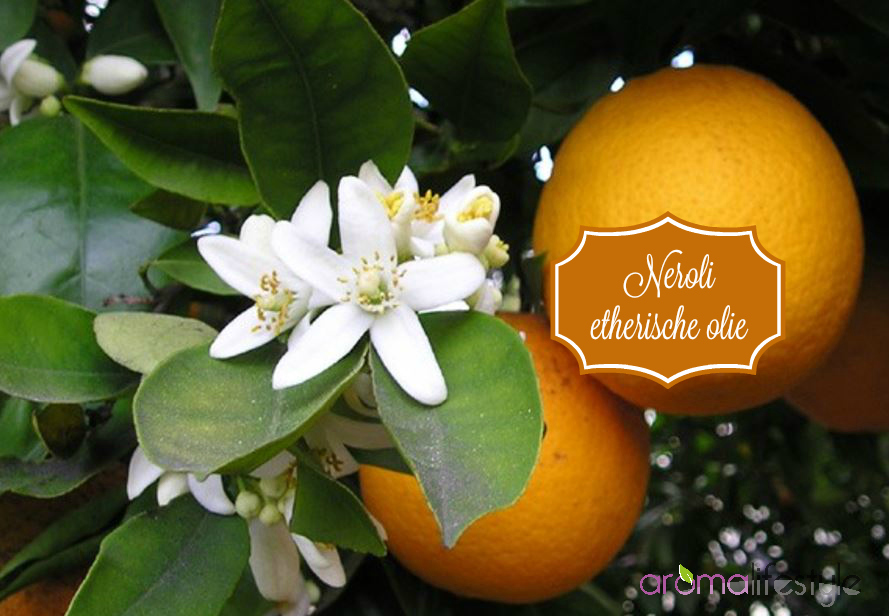 Neroli etherische olie (sinaasappelbloesem)