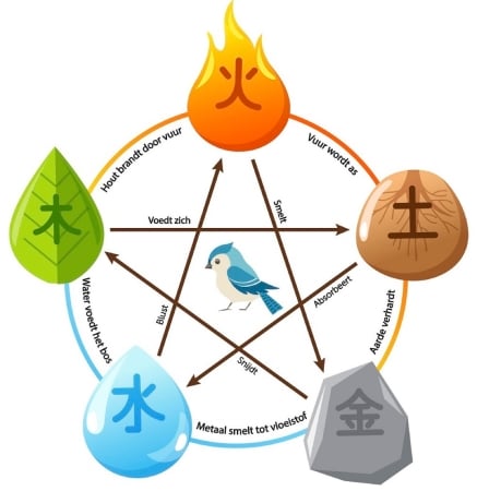 Persoonlijke ontwikkeling, energetisch therapeut Uden, yoga Schaijk, Geluk, gezondheid, welzijn, 5 elementen