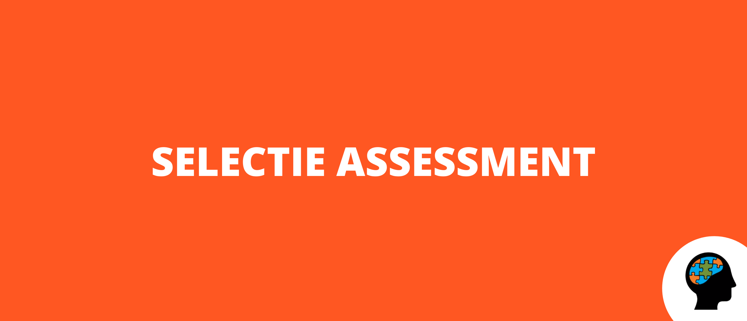Selectie assessment