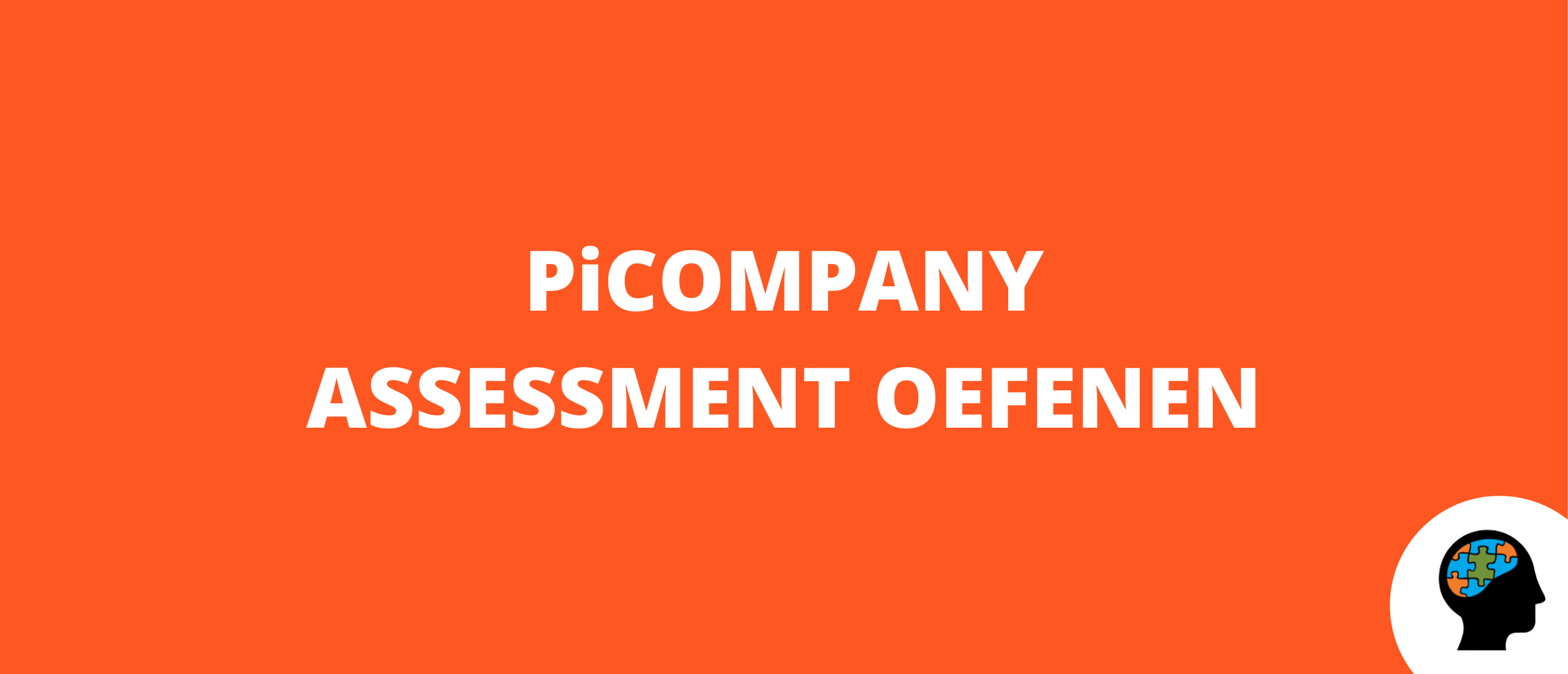 Picompany assessment oefenen