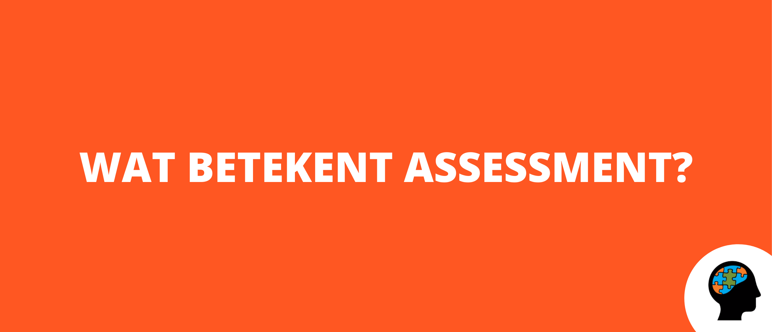 Wat betekent assessment?