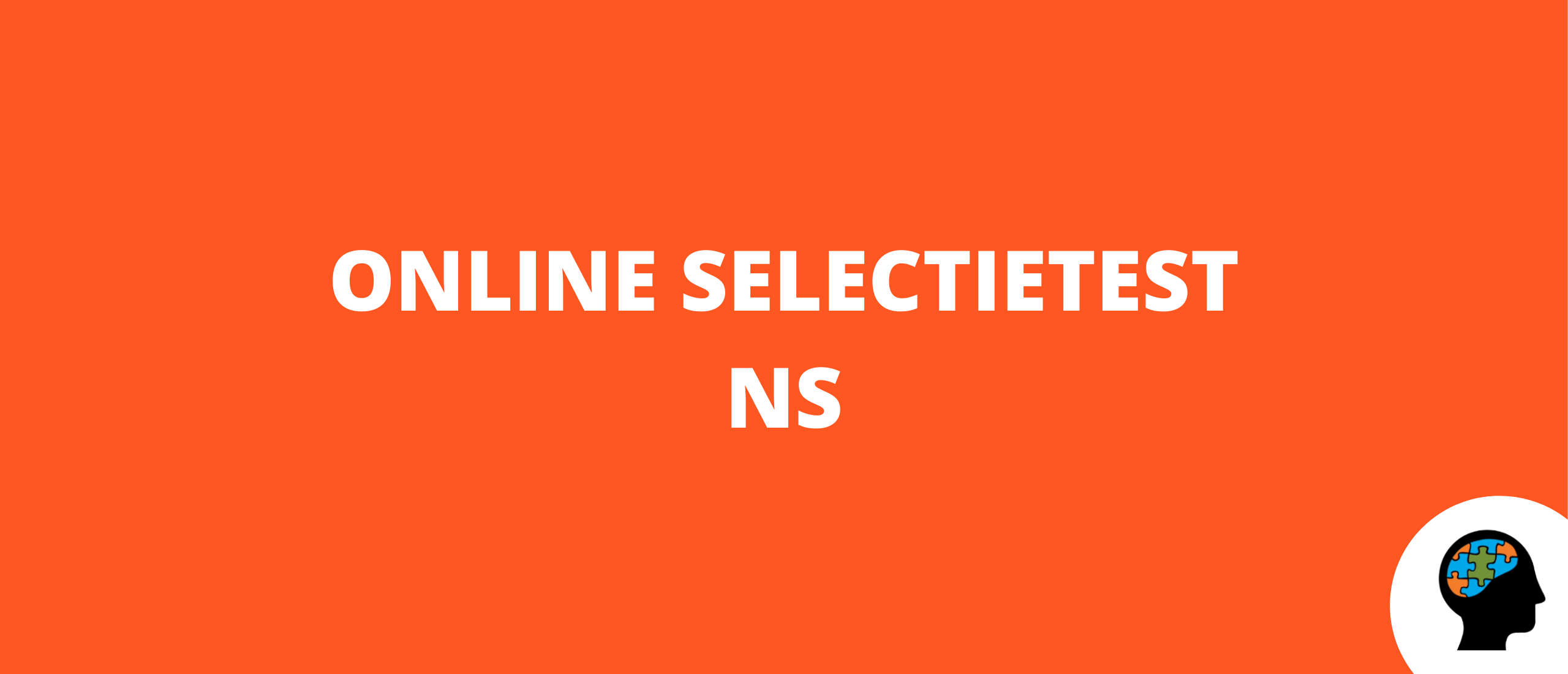 Online selectietest NS