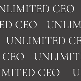 Astrid Joanne Damen, Masterclass, unlimited CEO framework