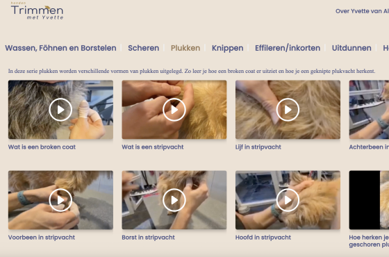 Dog Grooming with Yvette video platform