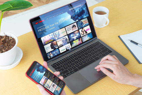 het abonnement verdienmodel