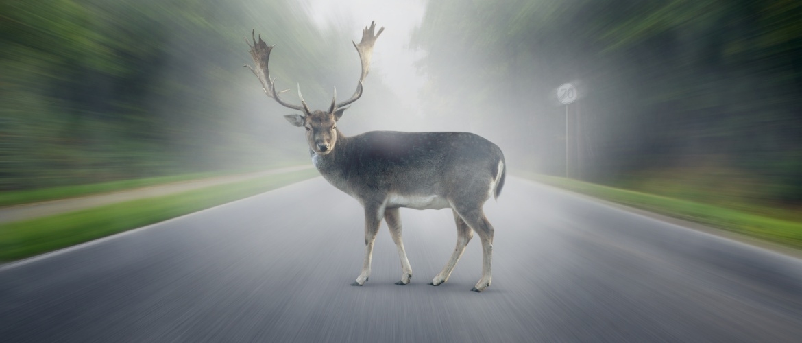 Remmen van de auto werken niet of doen het niet goed