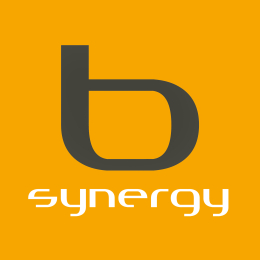 B-Synergy the SAP LowCode and RAD company.