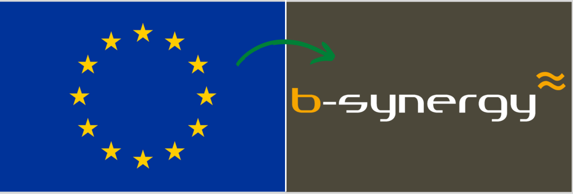 working at B-Synergy as an EU citizen