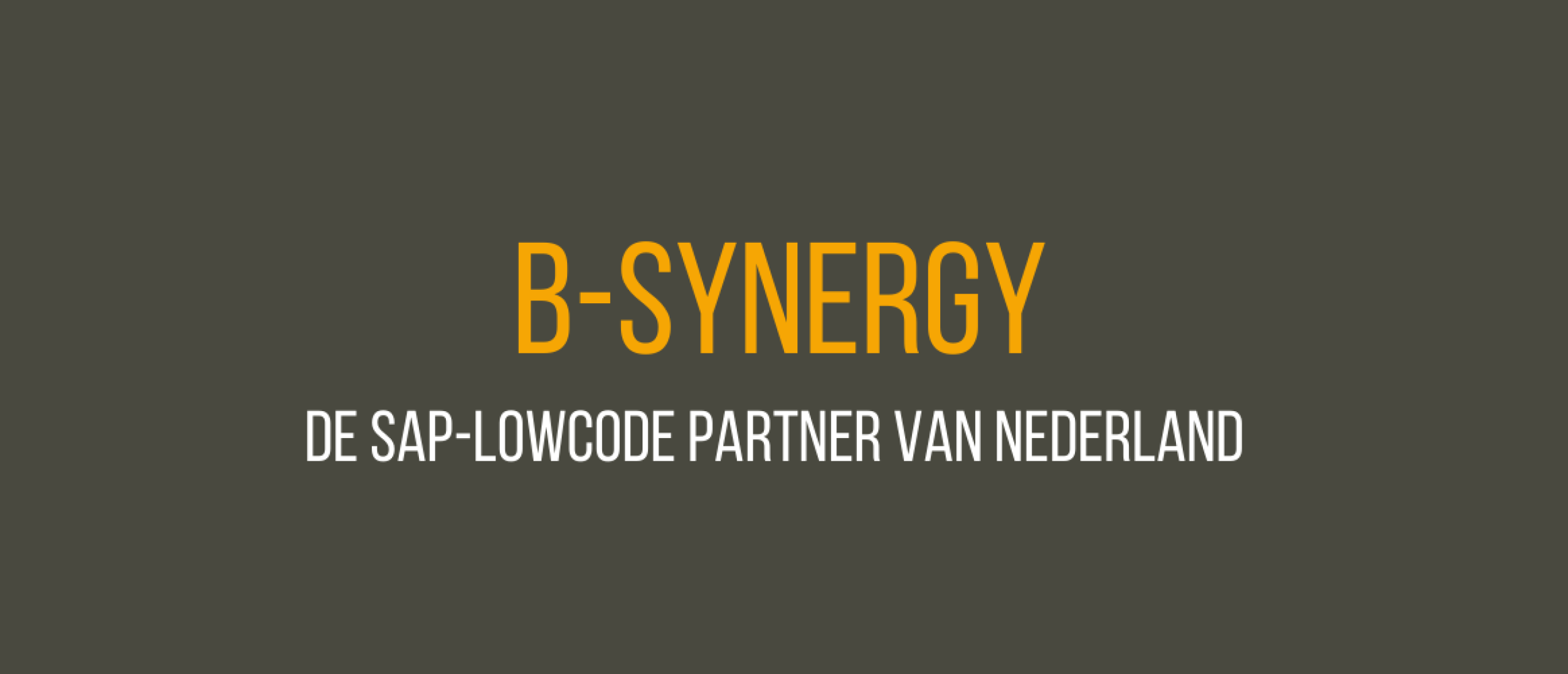b-synergy
