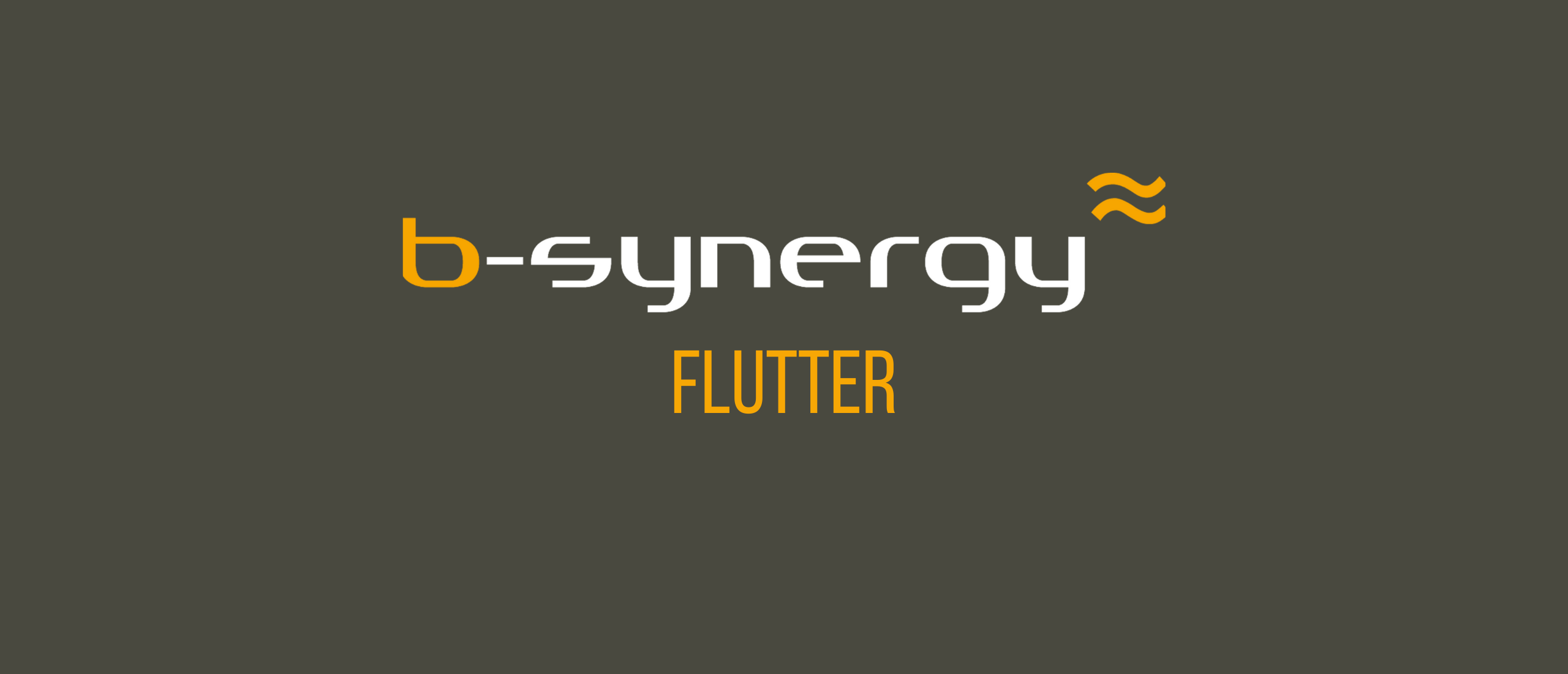 b-synergy flutter web dev
