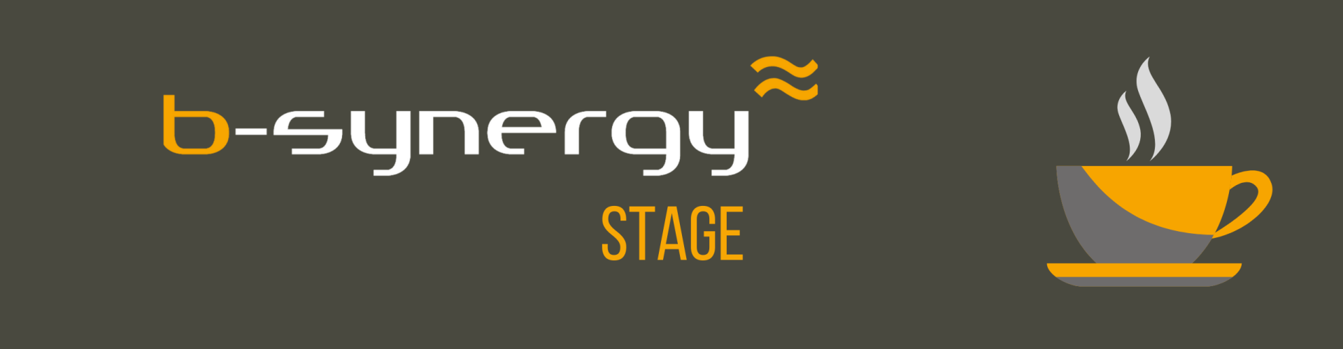 IT Stage B-Synergy
