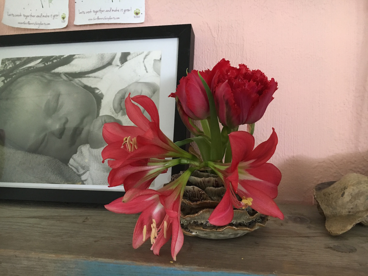 Planten en bloemen op de Babykamer -