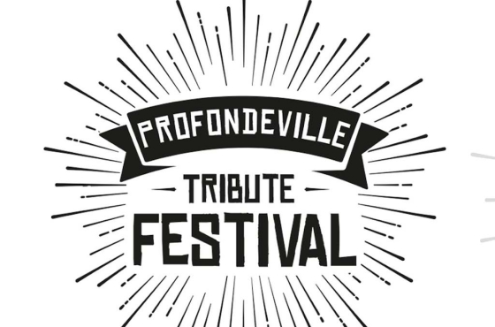 profondeville festival