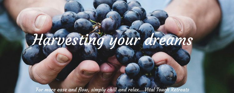 Harvesting your dreams and allow yourself to celebrate it fully