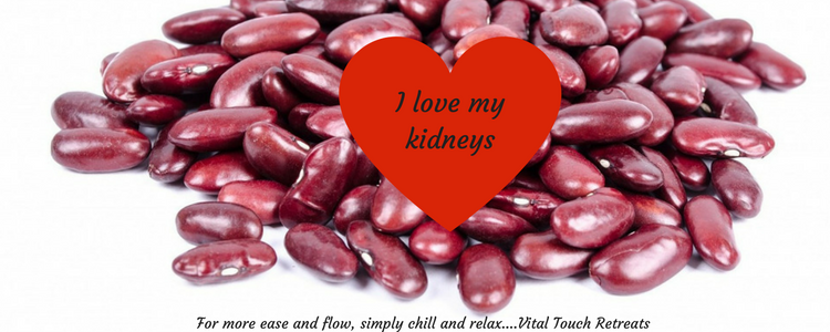 How you can improve the quality of your kidneys using this affirmation