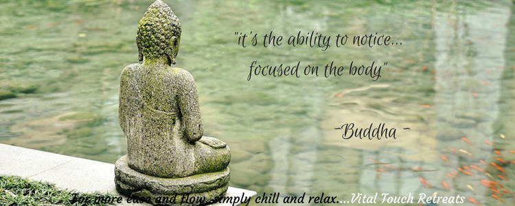I found this quote by Buddha in one of my meditation books