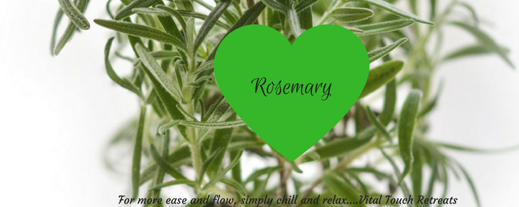 Discover what Rosemary can do for your health and wellbeing