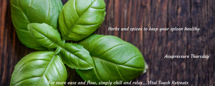 Herbs and spices to keep your spleen healthy - Q&A Acupressure Thursday
