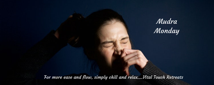 How to find relief from hay fever with this mudra