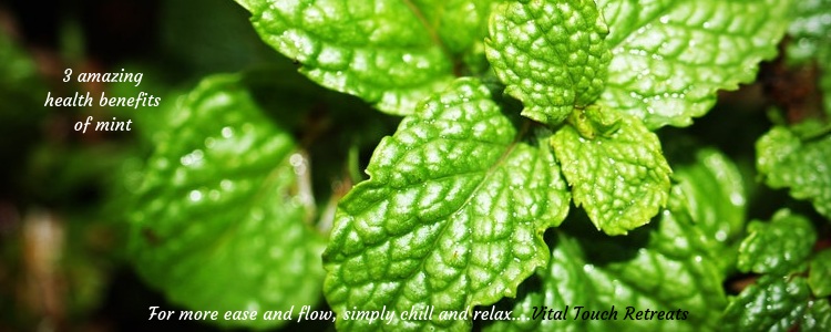 3 amazing health benefits of mint (leafs)