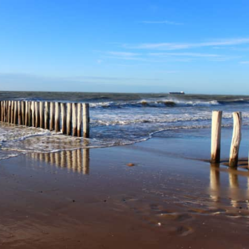 access consciousness bodyprocess amsterdam eindhoven leiden den haag rotterdam utrecht energetische facelift mtvss