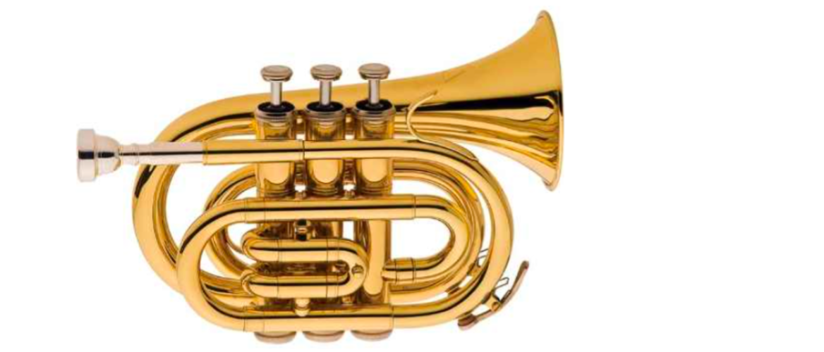 pocket trompet