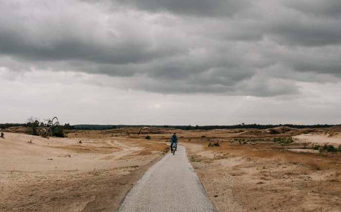 fietsen-op-de-veluwe