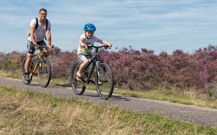 mountainbiken-op-de-veluwe