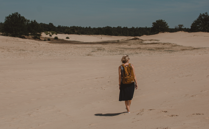 wandelen-op-de-veluwe