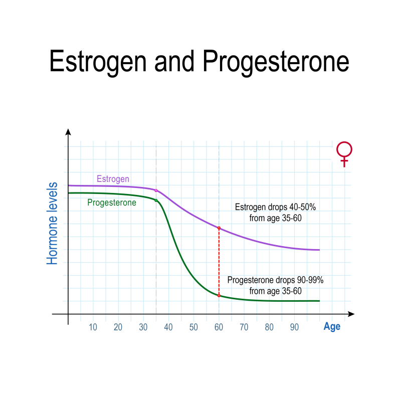 oestrogeen en progesteron per leeftijd