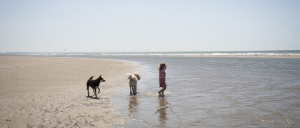 Wandelen bij de Maasvlakte Rotterdam