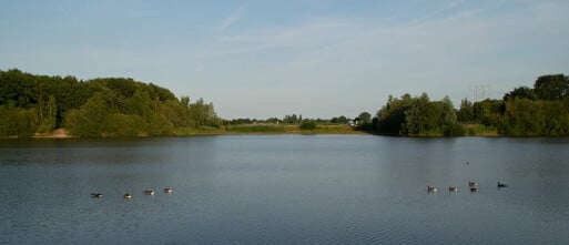 Wandelen bij het Noorderbos en Zandleij (Tilburg)