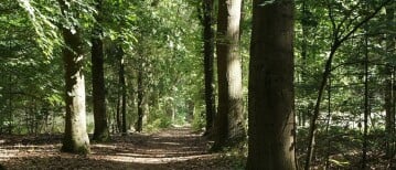 Wandelen bij Landgoed Oosterheide (Oosterhout)