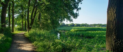 Wandelen langs de Donge bij ’s Gravenmoer