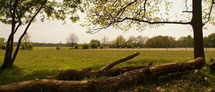 Wandelen bij Huis Ter Heide (blauwe route)