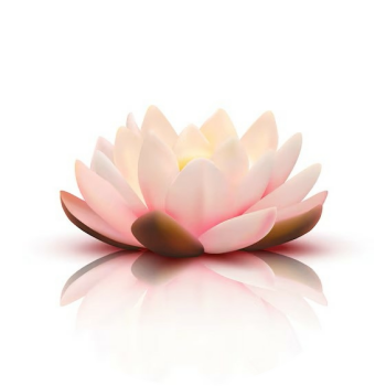 mindfulness en reiki