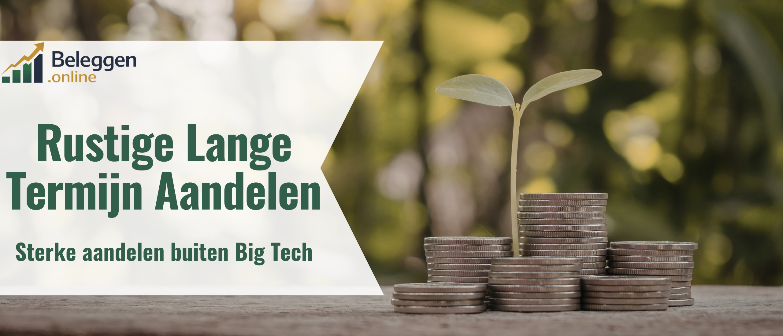 rustige-lange-termijn-aandelen