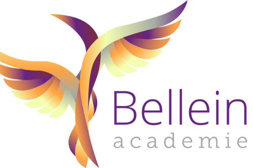 Bellein academie Bellein academie bedrijfstraining De Bono zes denkende hoofddeksels Reich karakterstructuren