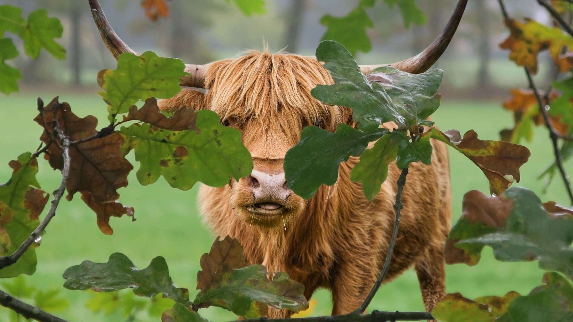 Arrangement weekendje weg in Drenthe - Bedstay op 8