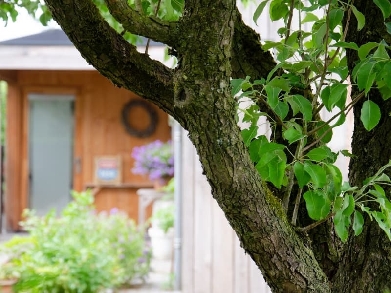 Bedstay op 8 - Bed and Breakfast - doorkijkje